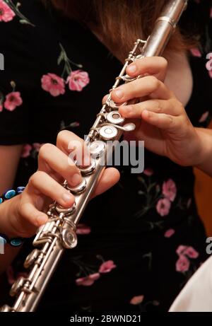 Flötistin, kleines Mädchen spielt Flöte, Hände, Finger auf Tasten Nahaufnahme, Kinder spielen Querseite Blasflöte, Detail erschossen, klassische Musik Stockfoto