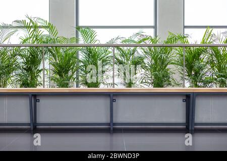 Moderne Büro Lobby Bank mit Pflanzen frontal Schuss Corporate ruhigen Grünbereich, leer Warteraum Sitze abstraktes Konzept, niemand keine Menschen Stockfoto