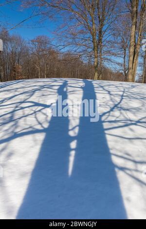 Baumschatten, die im Winter das verschneite Gelände eines Golfplatzes in Zentral-Michigan, USA, durchqueren Stockfoto