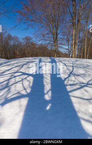 Baumschatten, die im Winter das verschneite Gelände eines Golfplatzes in Zentral-Michigan, USA, durchqueren Stockfoto