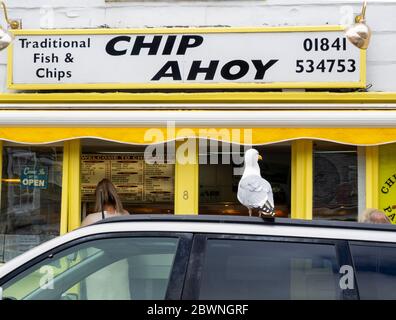 Möwe steht auf einem Auto und wartet auf eine Gelegenheit vor dem Fish and Chip Shop, Padstow, Cornwall, UK Stockfoto