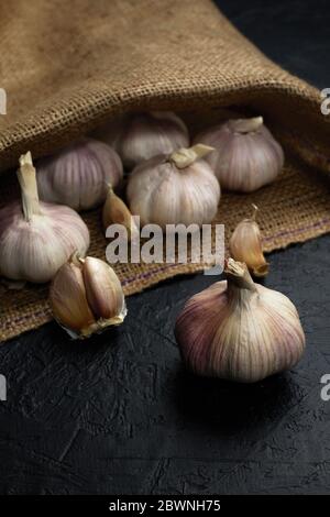 Frische Knoblauchzehen und Knoblauchzwiebel auf der Burlap. Bio-Knoblauch Stockfoto