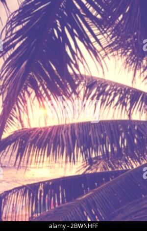 Verschwommene Kokosnusspalme Blätter Silhouetten bei Sonnenuntergang, Sommerurlaub Hintergrund, Farbtonierung angewendet. Stockfoto
