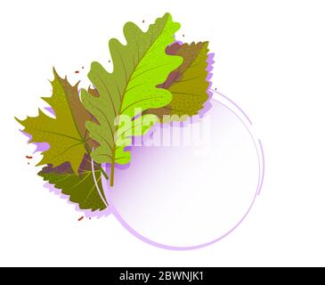 Moderne Frühling Blattvorlage Banner. Cartoon Web Frame Rabatt mit Kopierraum für Text. Sonderangebot im Sommer. Vektor verlässt kreative Illustration. Flaches Werbeetikett auf weißem Hintergrund Stock Vektor