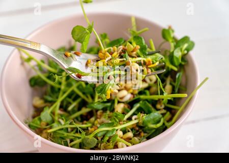 Vegan gesunder Salat aus Erbsen mikrogrünen Sprossen und gesprossenen Bohnen in rosa Schüssel auf hellem Hintergrund, Stockfoto