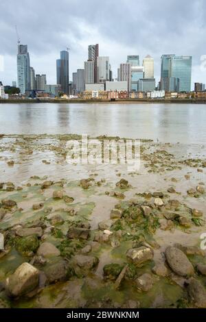 Blick über die Themse bei Ebbe von Greenwich Peninsula aus, die hohe Gebäude von Canary Wharf mit Schlammwohnungen im Vordergrund zeigt Stockfoto