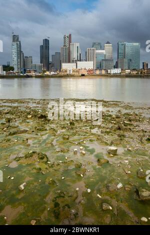 Blick über die Themse bei Ebbe von Greenwich Peninsula aus, die hohe Gebäude von Canary Wharf mit Schlammwohnungen im Vordergrund zeigt Stockfoto