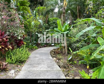 Der Bürgersteig durch einen Garten in einem botanischen Garten in Florida. Stockfoto