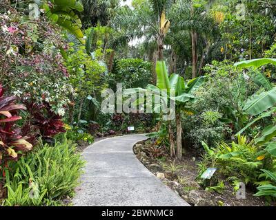 Der Bürgersteig durch einen Garten in einem botanischen Garten in Florida. Stockfoto