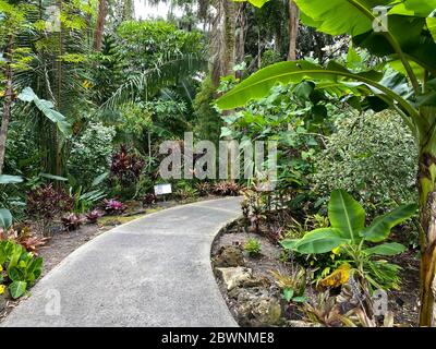 Der Bürgersteig durch einen Garten in einem botanischen Garten in Florida. Stockfoto