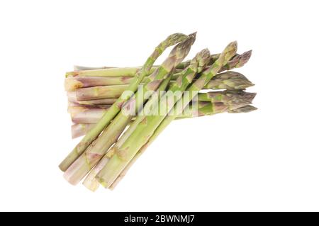 Spargelstängel gegen Weiß isoliert Stockfoto