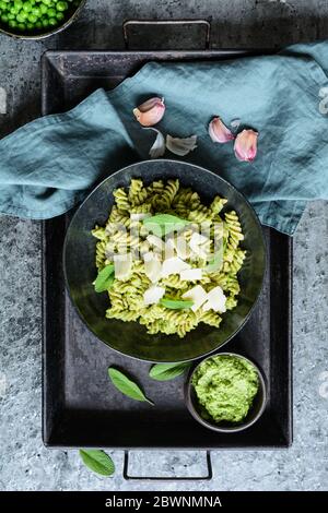 Fusilli Pasta mit Pesto aus Salbei und Kürbiskernen mit Hartkäse gekrönt Stockfoto