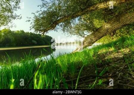 Wanderung Westufer Gstüt Insel, Straubing in Niederbayern Deutschland Stockfoto