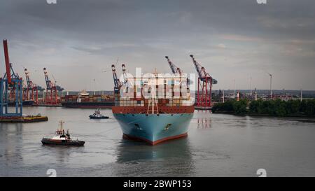 Panorama von einem Containerschiff im Hamburger Hafen Stockfoto