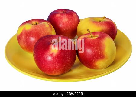 Nahaufnahme von roten Äpfeln auf einem gelben Teller. Mehrere reife Bio-saftige Äpfel in einem gelben Keramikplatte auf weißem Hintergrund. Stockfoto