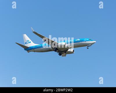 KLM Royal Dutch Airlines Boeing 737-8K2 landet am Flughafen London Heathrow, London Borough of Hillingdon, Greater London, England, Vereinigtes Königreich Stockfoto