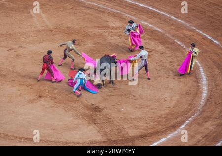 Floored Bullfighter wird gerettet, Plaza Mexico, Mexico City, Mexiko Stockfoto