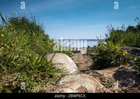 Ebenerdiges Panorama auf Lough Neagh von Oxford Island in der Nähe von Craigavon Nordirland an einem warmen, sonnigen Frühlingsmorgen Stockfoto