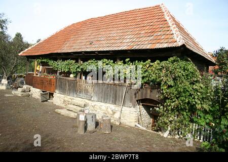 Hunedoara County, Transylvania, Rumänien. Traditionelles Haus mit gefliestem Dach und Veranda (Veranda) mit Weinrebe bedeckt. Stockfoto