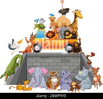 Wilde Tiere Gruppe posieren Lächeln in Tierpark Cartoon-Stil isoliert auf weißem Hintergrund Illustration Stock Vektor