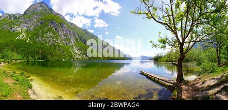 Panoramablick auf den Bohinjer See (slowenisch: Bohinjsko jezero) in den Julischen Alpen, Slowenien. Ist der größte permanente See in Slowenien Stockfoto