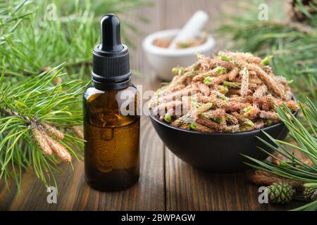 Tropfflasche Flasche ätherisches Öl aus Pinienkernen, Schale aus Pinienkernen auf Holztisch. Stockfoto