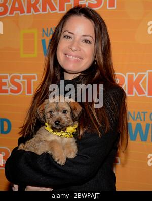 9. April 2016, West Hollywood, Kalifornien, USA: Holly Marie Combs nimmt am 9. April 2016 am 2. Jährlichen Barkfest von Nat Geo WILD im Palihouse Hotel in West Hollywood, Kalifornien, Teil. (Bild: © Billy Bennight/ZUMA Wire) Stockfoto