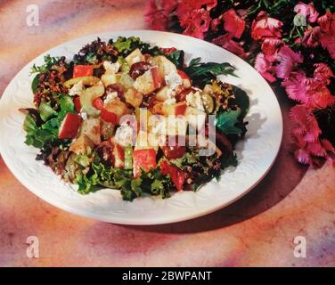 Apfel-Salat Stockfoto