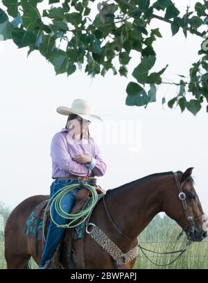 Rodeo [wird nach dem Hochladen die individuellen Bildunterschriften ausfüllen] Stockfoto