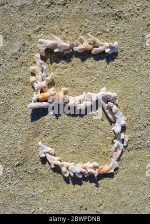 Nummer fünf (5) aus toten Korallen, die an einem australischen Strand angelegt sind Stockfoto
