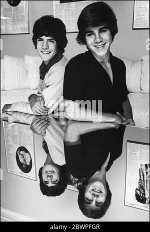 Die Laborteaux-Brüder Matthew und Patrick zu Hause um die 1980er Jahre Stockfoto
