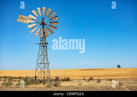 Windmühle in Südaustralien vor einem Weizenfeld mit einem einsamen Baum Stockfoto