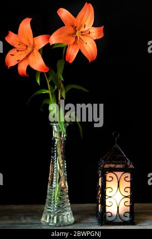 Orange Lilien in Glasvase mit Laterne auf schwarzem Hintergrund. Vintage-Konzept. Stockfoto