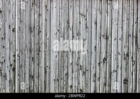 Alte Plankenwand, Holz mit vielen Knothlöchern Stockfoto