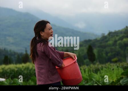 (200603) -- RUIAN, 3. Juni 2020 (Xinhua) -- Peng Xiaoying arbeitet auf dem Bauernhof im Dorf Xia'Ao der Gemeinde Mayu, Ruian, Provinz Zhejiang, 1. Juni 2020. Wenn sie mit der Arbeit auf dem Bauernhof fertig sind, haben Fan Deduo und seine Frau Peng Xiaoying ein großes Hobby - Tänze choreographieren und ausprobieren. Vor achtzehn Jahren wurde Fan bei einem Verkehrsunfall verletzt und das Trauma führte ihn zu einer Depression. 2016 hatte er sich entschieden, mit Depressionen fertig zu werden, indem er das Tanzen mit Peng lernte. Das Paar läuft jetzt einen Abend Livestream-Kanal auf Video-Sharing-Plattform Tik Tok, zeigt ihre neue d Stockfoto