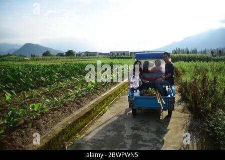 (200603) -- RUIAN, 3. Juni 2020 (Xinhua) -- Fan Deduo (R) und seine Familie kehren vom Bauernhof im Xia'AO Dorf der Gemeinde Mayu, Ruian, Ostchinesische Provinz Zhejiang, zurück, 1. Juni 2020. Wenn sie mit der Arbeit auf dem Bauernhof fertig sind, haben Fan Deduo und seine Frau Peng Xiaoying ein großes Hobby - Tänze choreographieren und ausprobieren. Vor achtzehn Jahren wurde Fan bei einem Verkehrsunfall verletzt und das Trauma führte ihn zu einer Depression. 2016 hatte er sich entschieden, mit Depressionen fertig zu werden, indem er das Tanzen mit Peng lernte. Das Paar läuft jetzt einen Abend Livestream-Kanal auf Video-Sharing-Plattform Tik zu Stockfoto