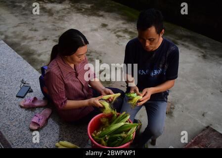 (200603) -- RUIAN, 3. Juni 2020 (Xinhua) -- Peng Xiaoying (L) und Fan Deduo bereiten eine Mahlzeit im Xia'Ao Dorf der Gemeinde Mayu, Ruian, Ostchinesische Provinz Zhejiang, 1. Juni 2020 zu. Wenn sie mit der Arbeit auf dem Bauernhof fertig sind, haben Fan Deduo und seine Frau Peng Xiaoying ein großes Hobby - Tänze choreographieren und ausprobieren. Vor achtzehn Jahren wurde Fan bei einem Verkehrsunfall verletzt und das Trauma führte ihn zu einer Depression. 2016 hatte er sich entschieden, mit Depressionen fertig zu werden, indem er das Tanzen mit Peng lernte. Das Paar läuft jetzt einen Abend Livestream-Kanal auf Video-Sharing-Plattform Tik Tok, s Stockfoto