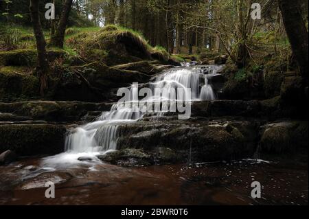 Kaskade auf Nant Bwrefwr, etwa auf halbem Weg zwischen dem Parkplatz und dem Afon Caerfanell. Stockfoto