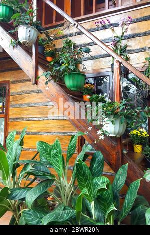 Holztreppe mit Blumen in hängenden Topf dekoriert. Umweltfreundliche Einrichtung in einem Landhaus Stockfoto