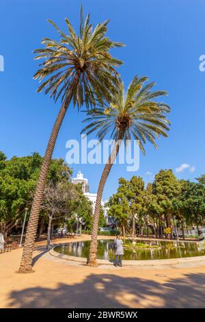 Blick auf Menschen, die sich in Meir Garden, Tel Aviv, Israel, Naher Osten entspannen Stockfoto