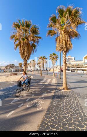 Ansicht von Radfahrern auf Radweg auf Promenade, Hayarkon Street, Tel Aviv, Israel, Naher Osten Stockfoto