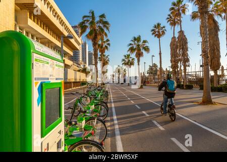 Ansicht von Radfahrern auf Radweg auf Promenade, Hayarkon Street, Tel Aviv, Israel, Naher Osten Stockfoto