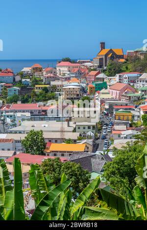 Erhöhte Ansicht der Stadt von St George's, Grenada, Windward Islands, Westindien, Karibik, Mittelamerika Stockfoto