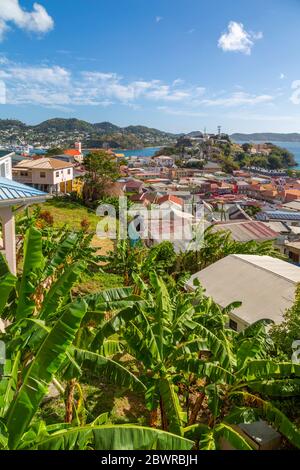 Blick auf St. Georges Stadt und Karibik, St. George's, Grenada, Windward Islands, West Indies, Karibik, Mittelamerika Stockfoto