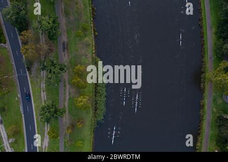 Blick von oben auf die frühmorgendlichen Ruderer am Yarra River in Melbourne, Australien Stockfoto