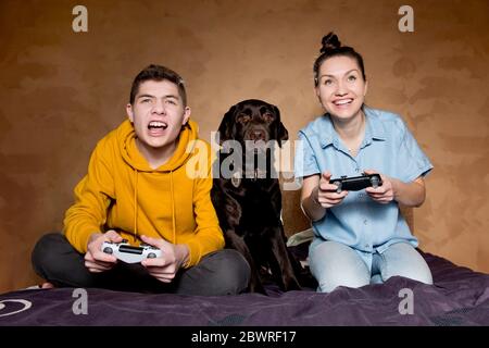 Bruder, Schwester und Haushund vor einem Bildschirm bei einem Computerspiel. Die Jungs spielen, und der Hund beobachtet Stockfoto