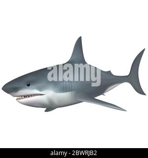 Großer Weißhai Salzwasserfisch. Vollständig kompatibel. Mit Verlaufsgitter erstellt Stock Vektor
