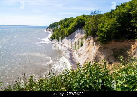 Die Kreideküste Rügens an der Ostsee Stockfoto