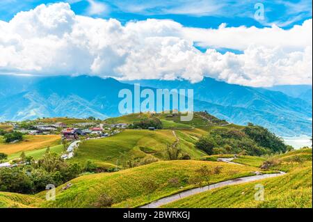 Taglilienblütenfarm am Liushidan Berg in Hualien, Taiwan Stockfoto