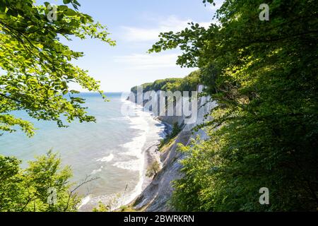 Die Kreideküste Rügens an der Ostsee Stockfoto